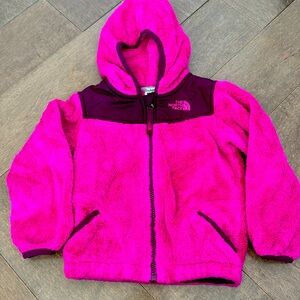 Toddler North Face hooded fleece